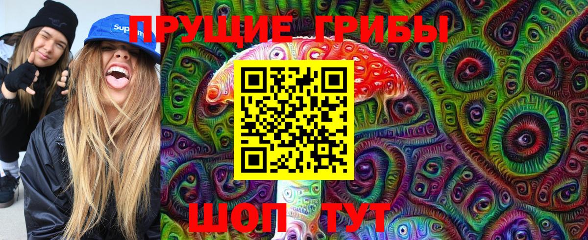 Галлюциногенные грибы Cubensis  как найти   Вход с VPN  Верхняя Пышма  Псилоцибиновые грибы Psilocybine cubensis 